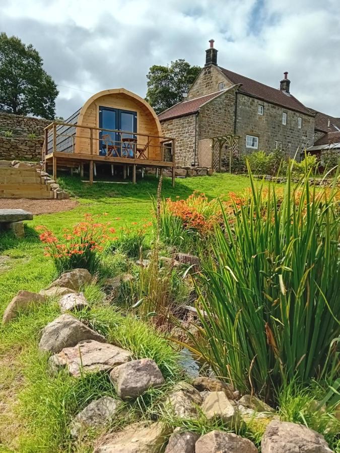 Coombs Glamping Pods Campsite Danby